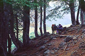 guide,parc national,Paglia Orba,montagnes